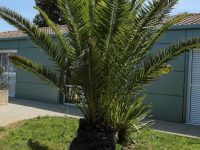 Camping le Rochelongue 34 Camping le Rochelongue 34