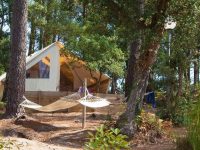 Camping les Cheuvreuils 40 Camping les Cheuvreuils 40